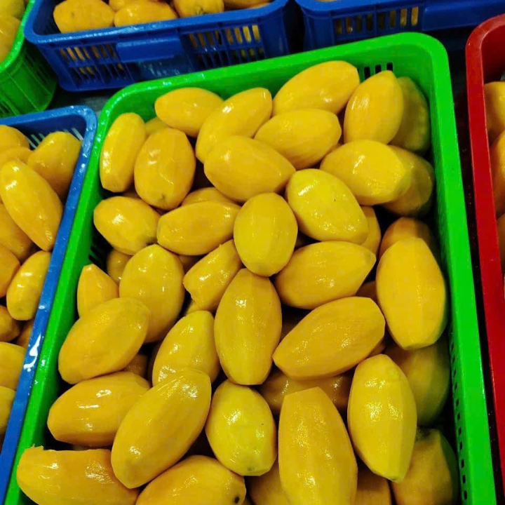 IQF MANGO PUREES FROM VIETNAM  - Image 4