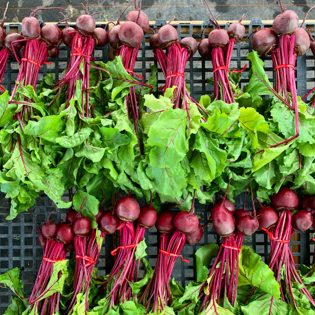 Fresh Beetroot - Image 2