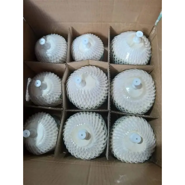 Fresh Button - Top Coconut - Image 3