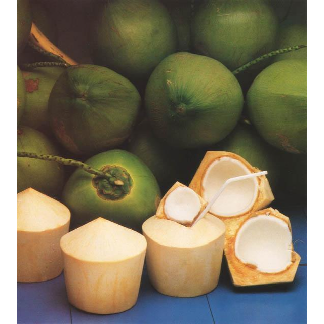 Fresh Button - Top Coconut - Image 2