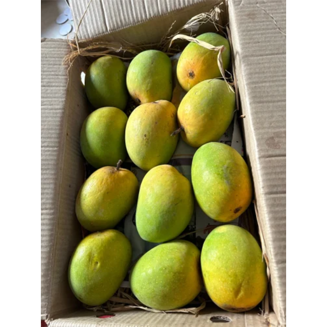 Fresh Cat Chu Mango - Image 3
