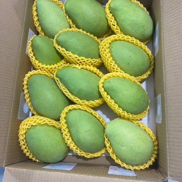 Fresh Cat Hoa Loc Mango  - Image 3