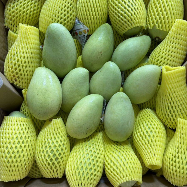 Fresh Cat Hoa Loc Mango  - Image 2
