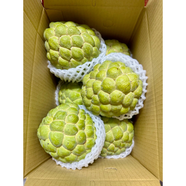 Fresh Custard Apple - Image 3
