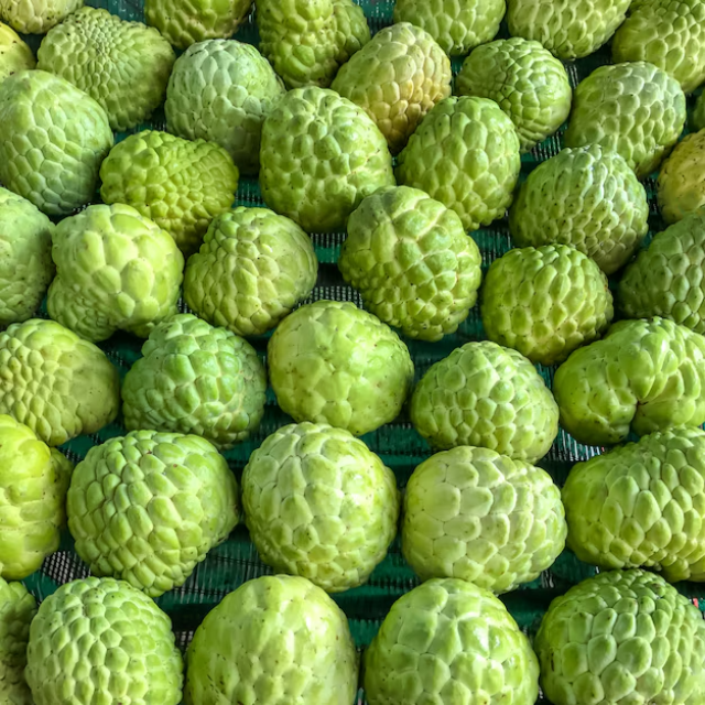 Fresh Custard Apple - Image 2