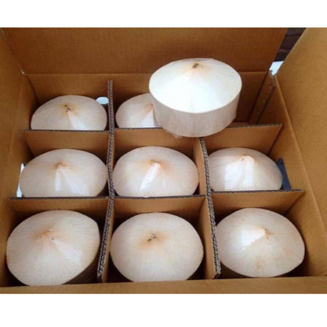 Fresh Diamond - Cut Coconut - Image 2
