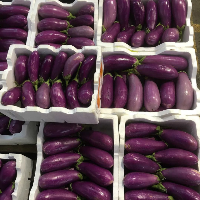 Fresh Eggplant - Image 2