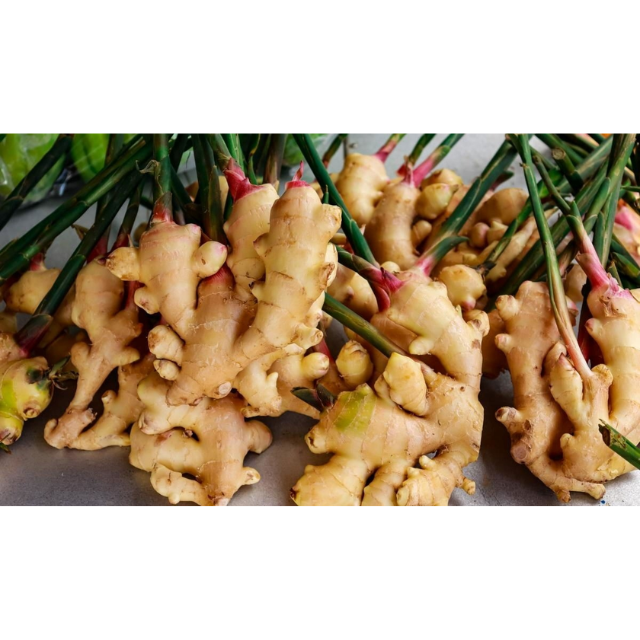 Fresh Ginger - Image 2