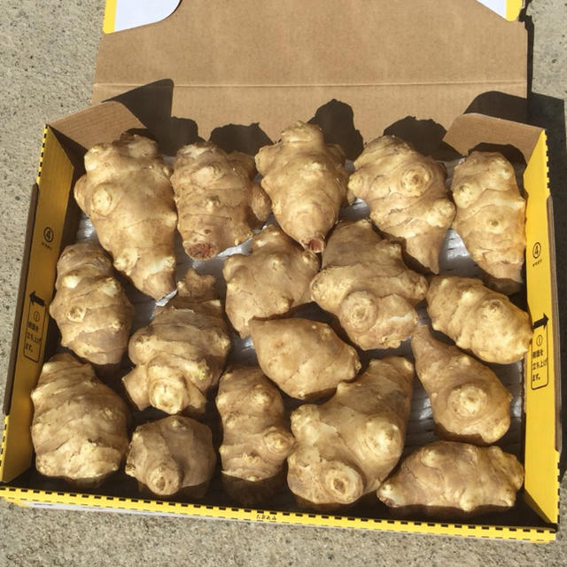 Fresh Ginger - Image 3