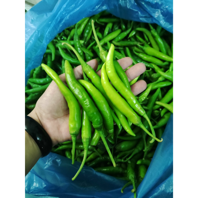Fresh Green Chili - Image 2
