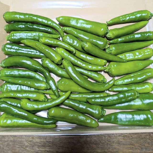 Fresh Green Chili - Image 3