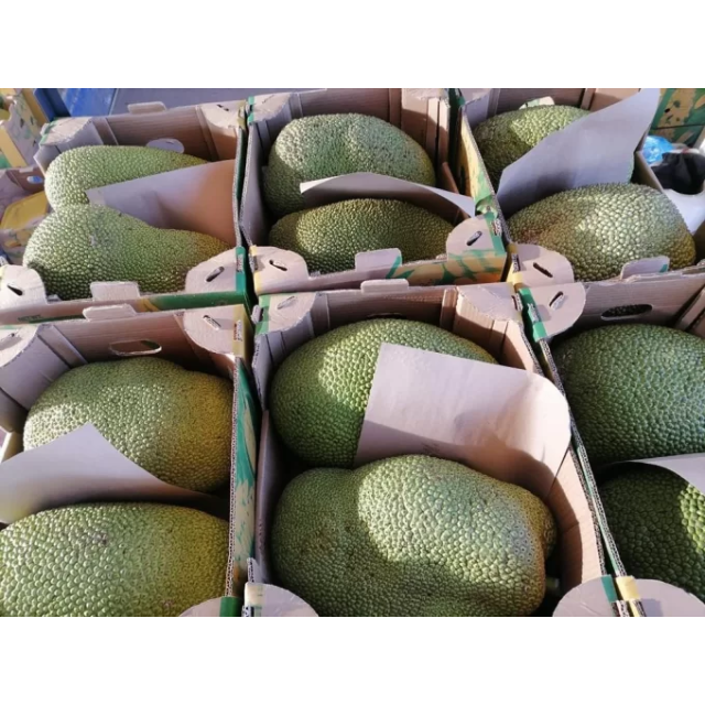 Fresh JackFruit  - Image 4