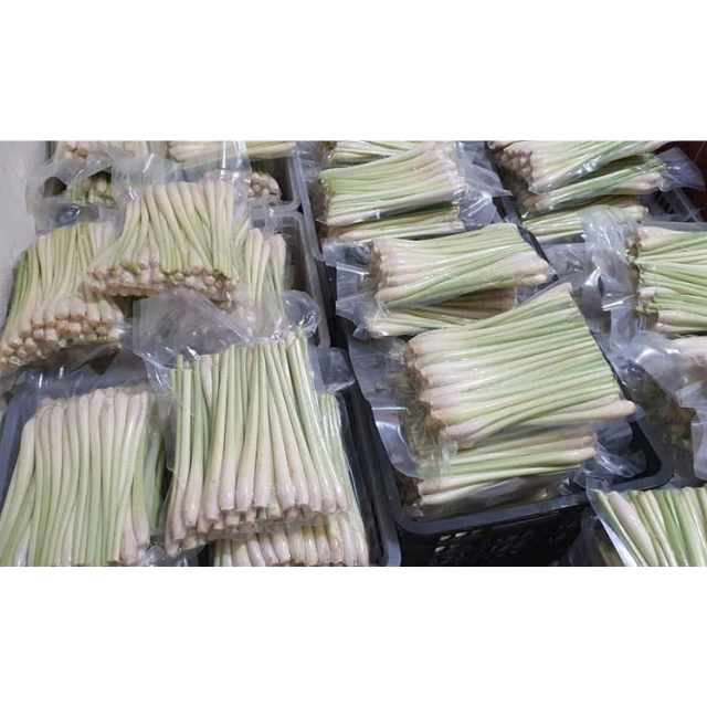 Fresh Lemongrass - Image 3