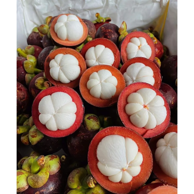 Fresh Mangosteen - Image 2
