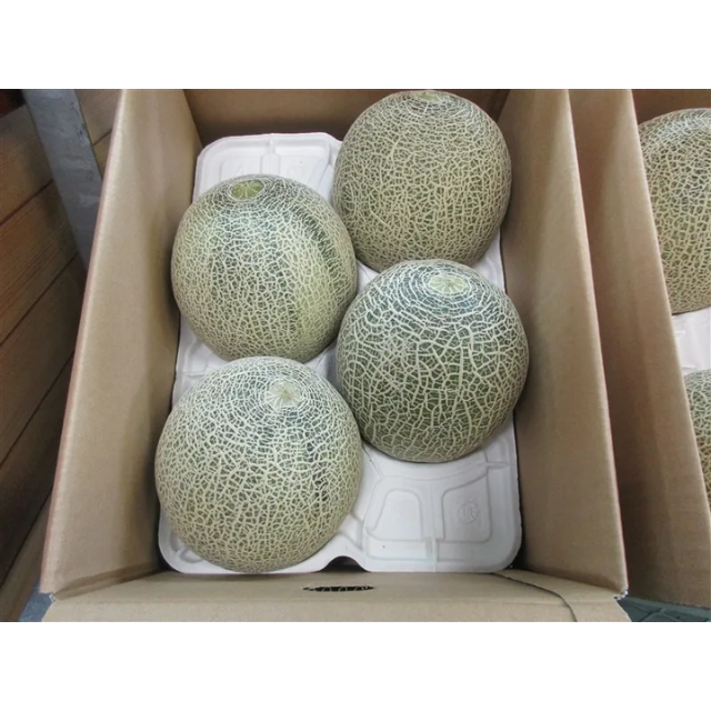 Fresh Melon  - Image 2