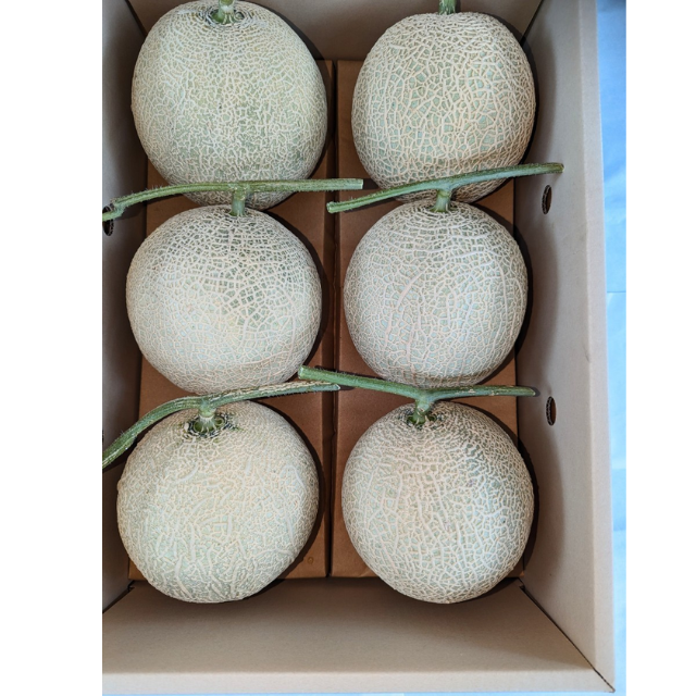 Fresh Melon  - Image 3