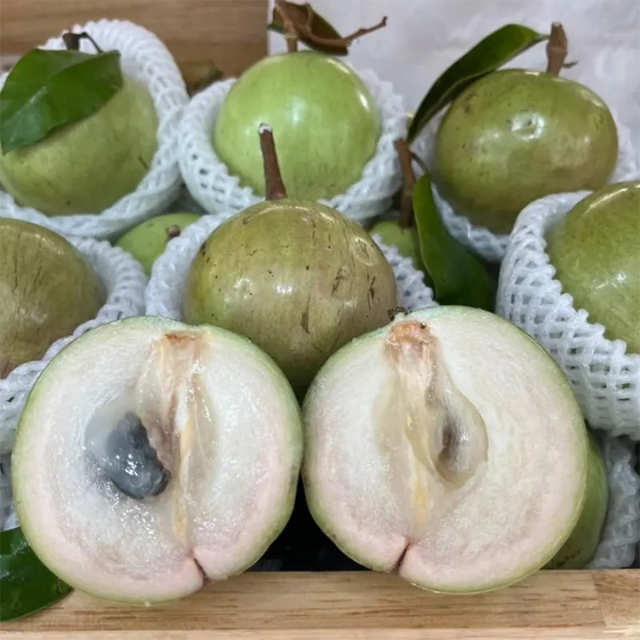Fresh Milk Fruit  - Image 2