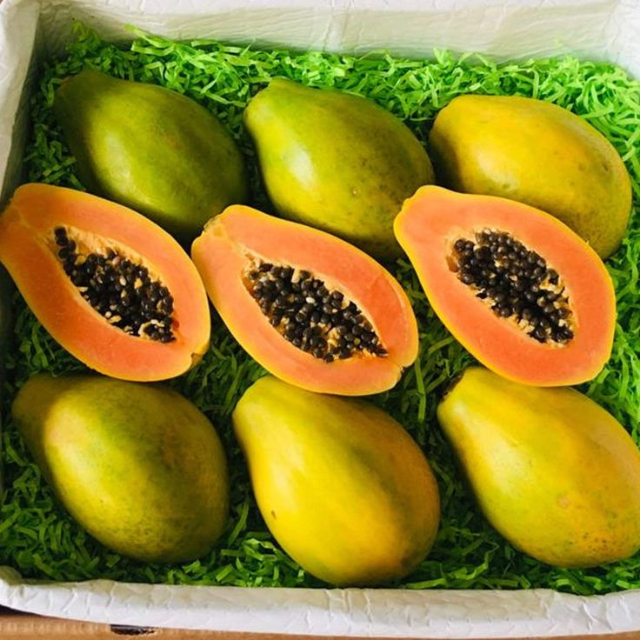 Fresh PaPaYa - Image 3