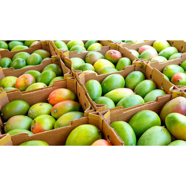 Fresh Peach Mango - Image 2