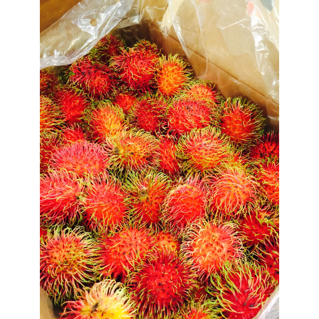 Fresh Rambutan - Image 3