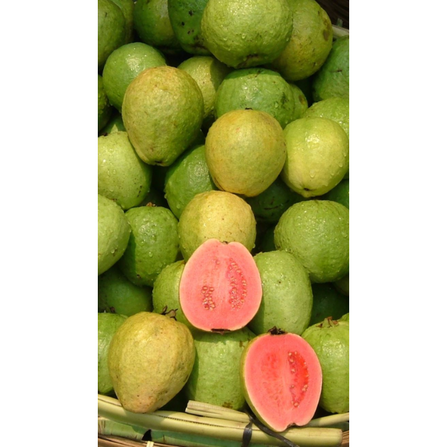 Fresh Red Guava - Image 2