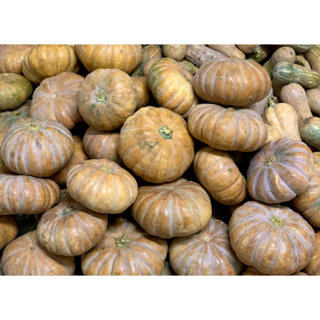 Fresh Red Pumpkin - Image 2