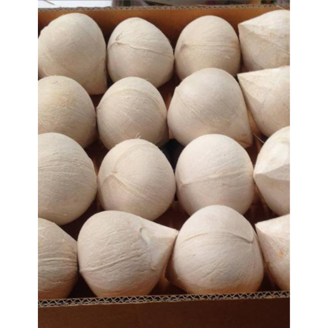 Fresh Shaved Coconut - Image 2