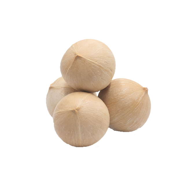 Fresh Shaved Coconut