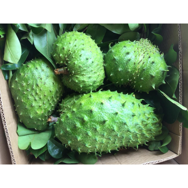 Fresh Soursop - Image 3