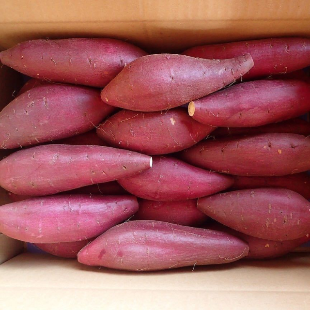 Fresh Sweet Potato - Image 2