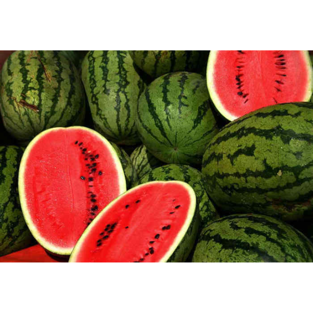 Fresh Water Melon - Image 2