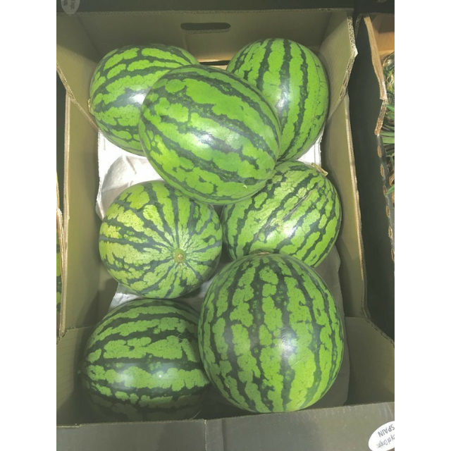 Fresh Water Melon - Image 3