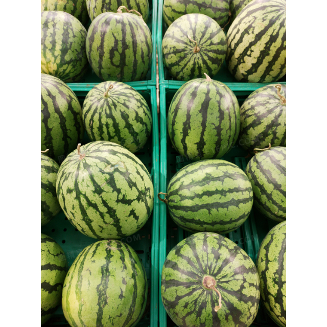 Fresh Water Melon - Image 4