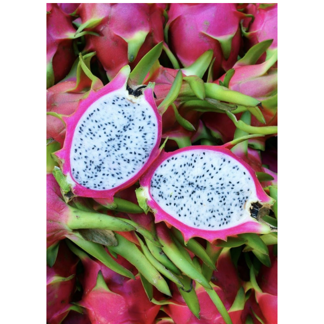Fresh White Dragon Fruits - Image 3