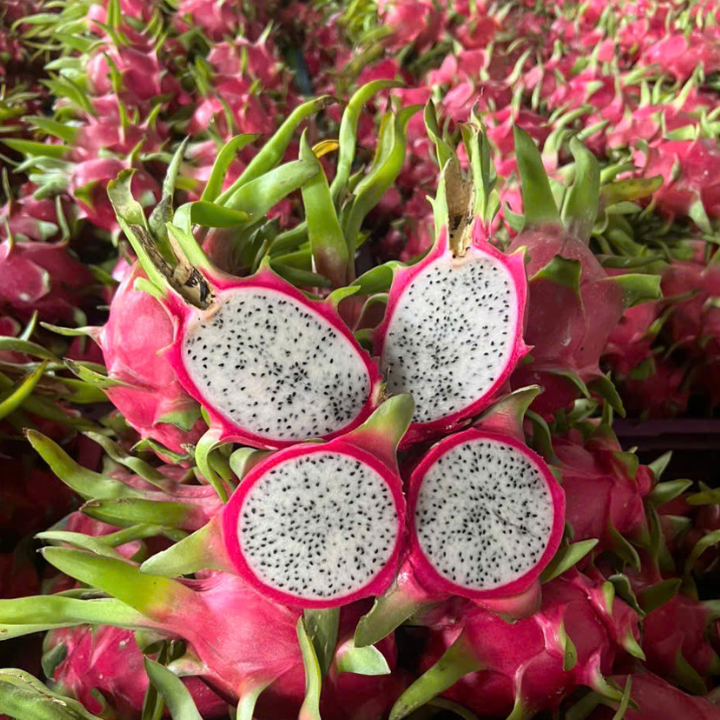 IQF White Dragon Fruit