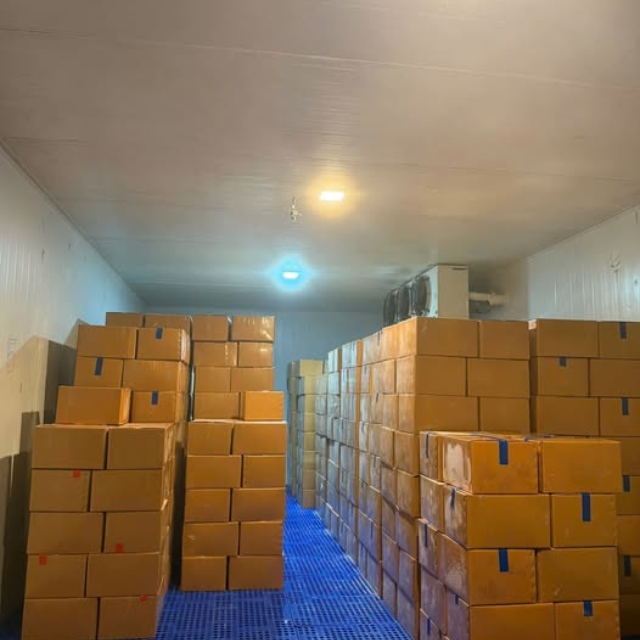 IQF Frozen  Durian Pulp  - Image 3