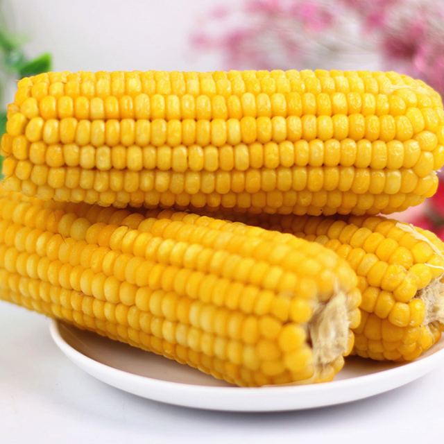 IQF Frozen Whole Sweet Corn