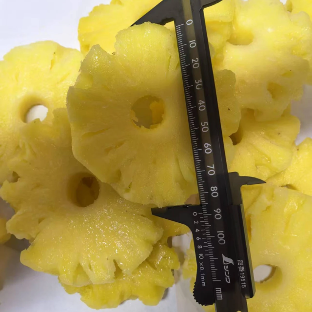 IQF Frozen Pineapple Slices - Image 2