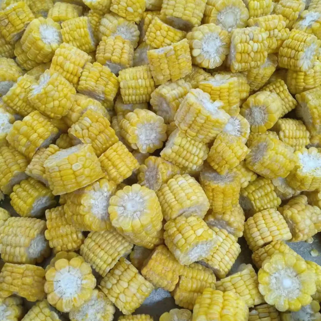 IQF Frozen Sweet Corn Chunks - Image 2