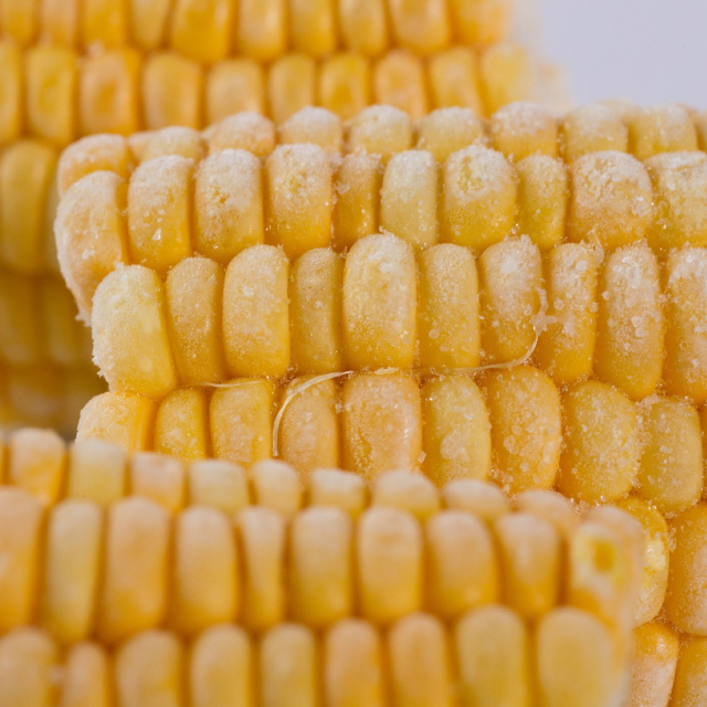 IQF Frozen Sweet Corn Chunks