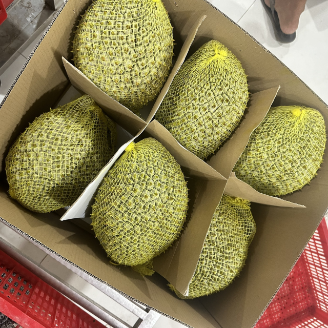 IQF Frozen Whole Durian - Image 2