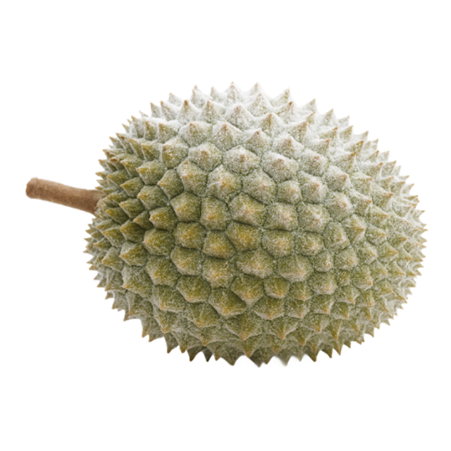 IQF Frozen Whole Durian