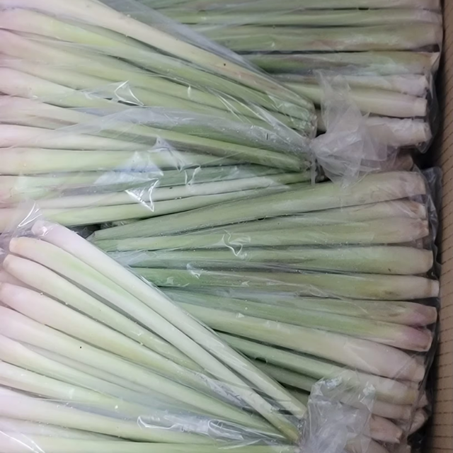 IQF Frozen Whole Lemongrass - Image 4