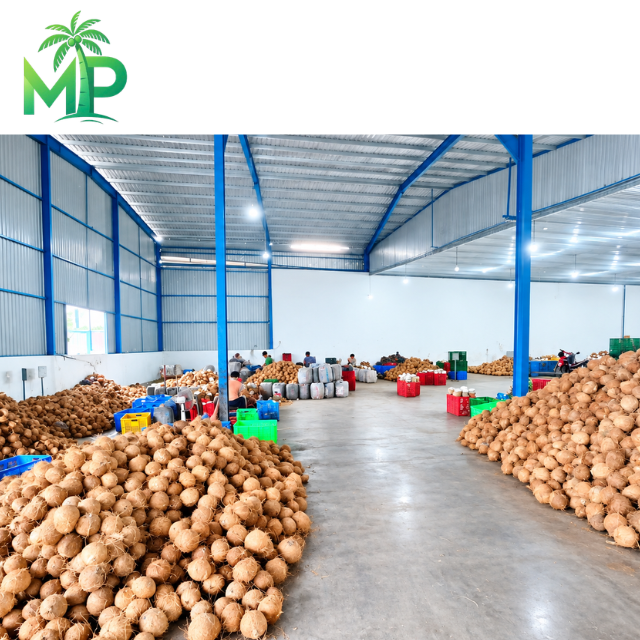 Natural Coconut Fiber from Vietnam for Bulk Wholesale Supply - Image 6