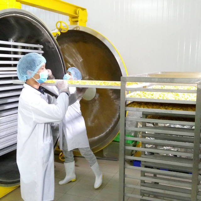 OEM/ODM Freeze Dried Orange & Mandarin Slices | Vietnam Factory Private Label Manufacturer - Image 3