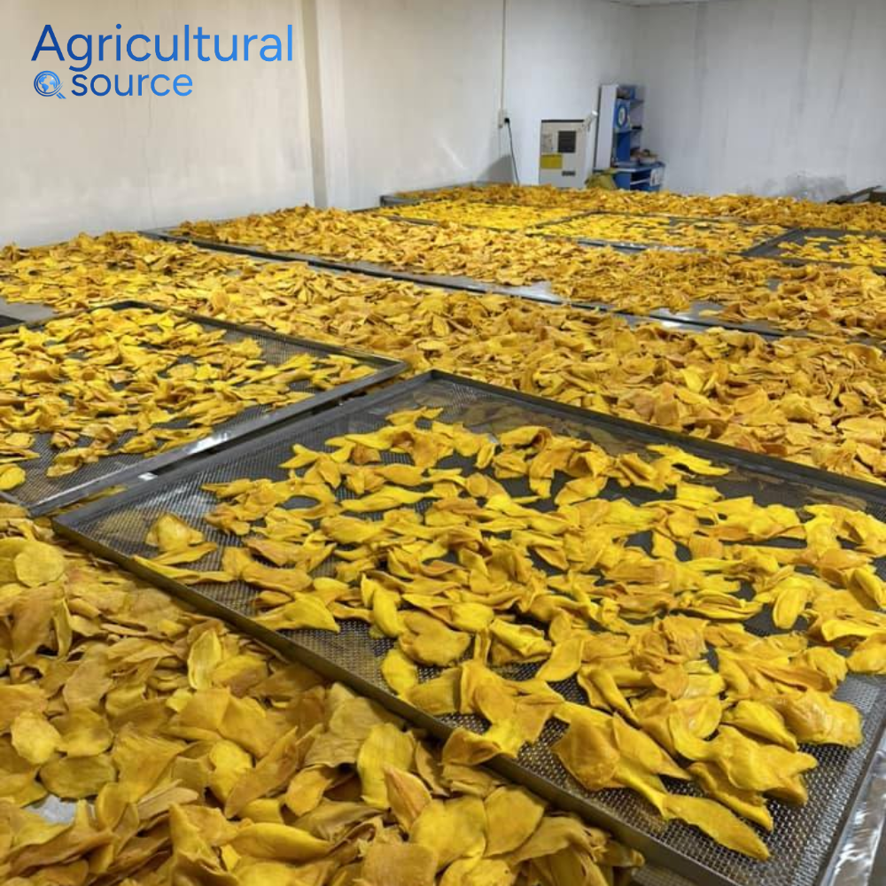 VIET NAM SOURCE SOFT DRIED MANGO - Image 2