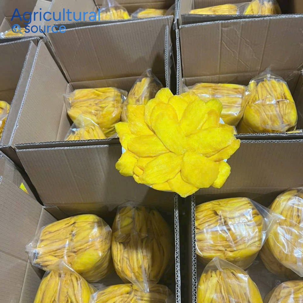VIET NAM SOURCE SOFT DRIED MANGO - Image 3