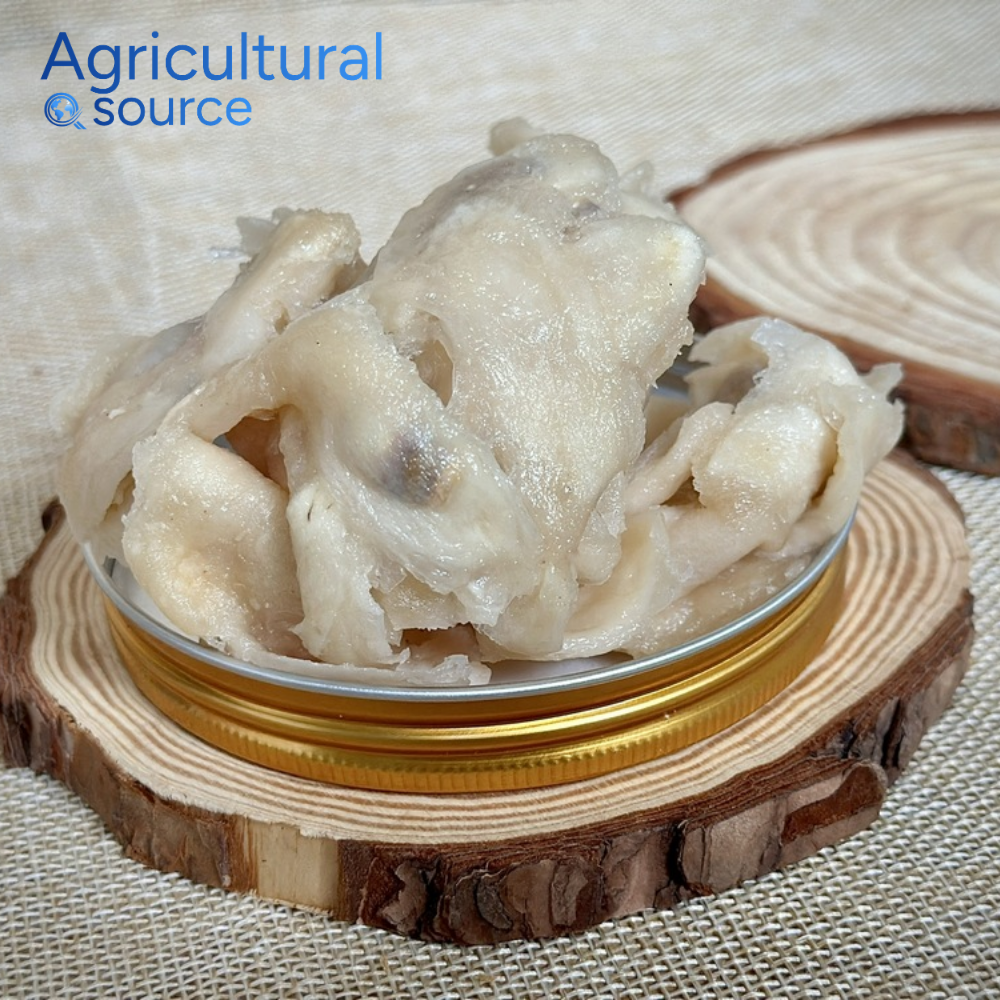  VIETNAM PREMIUM SOFT SOURSOP - THE TROPICAL PEARL - Image 2