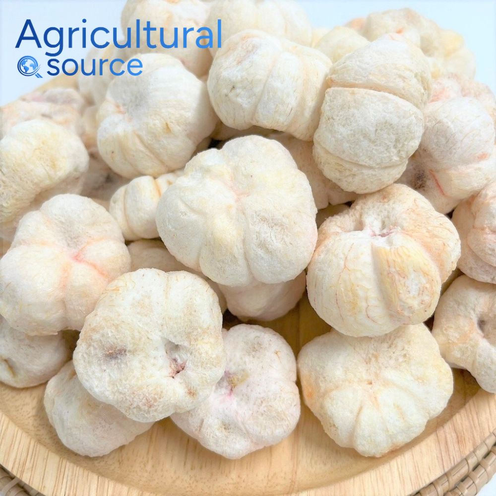 Freeze Dried Mangosteen – Premium Tropical Fruit by Viet Nam Source