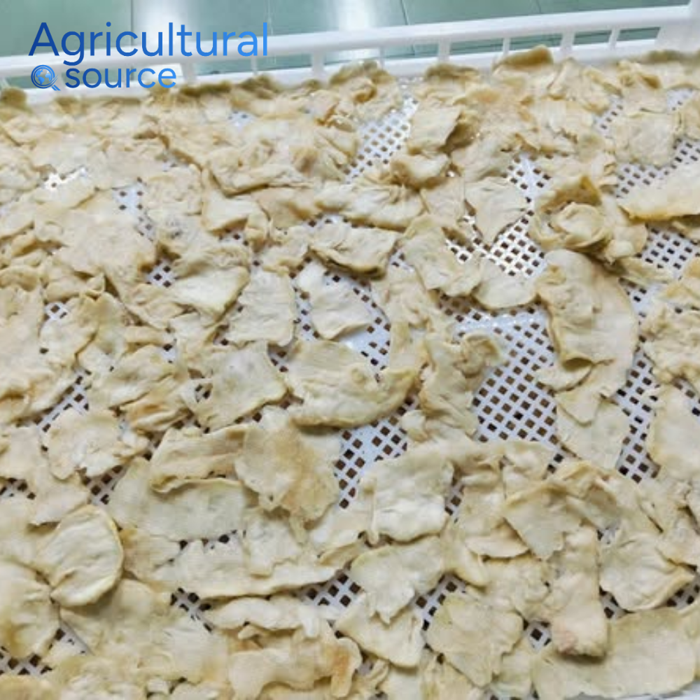  VIETNAM PREMIUM SOFT SOURSOP - THE TROPICAL PEARL - Image 7